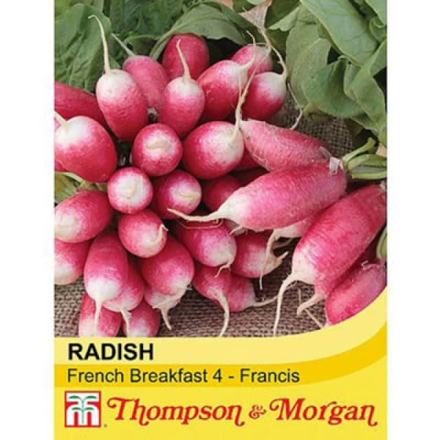 Thompson & Morgan Radish French Breakfast 4 - Francis 1 Seed Packet