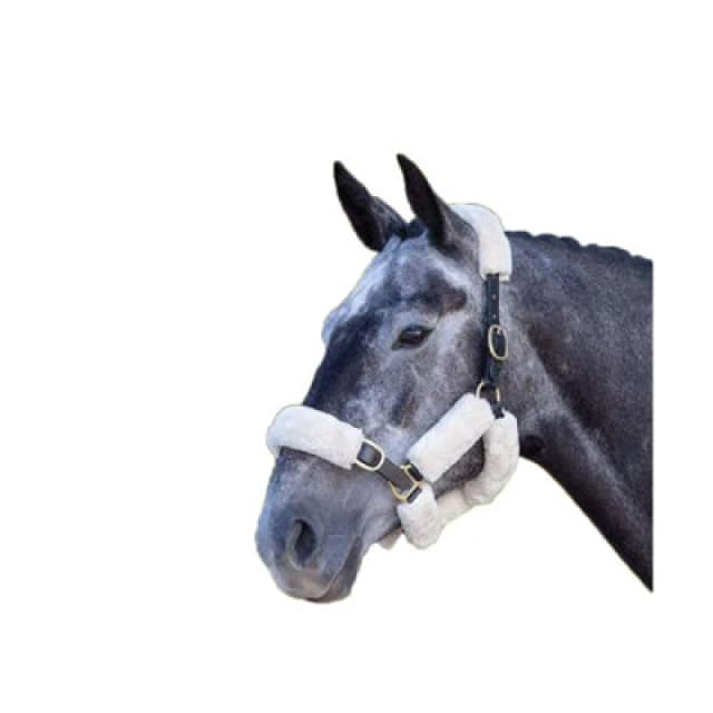 Shires Performance Horses Supafleece Halter Fleeces (Pack Of 9) Natural (One Size)
