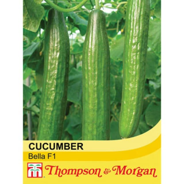 Thompson & Morgan Cucumber Bella F1 Hybrid 1 Seed Packet (4 Seeds)