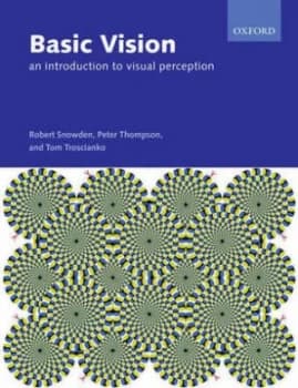 Basic Vision by Robert Snowden Paperback