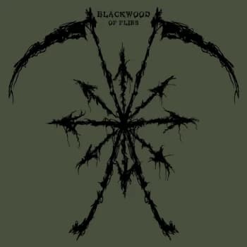 Blackwood - Of Flies Vinyl
