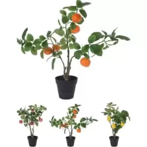 Home and Styling Fruit Tree 23 - Multi
