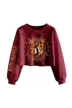 Gryffindor Constellation Acid Wash Crop Sweatshirt