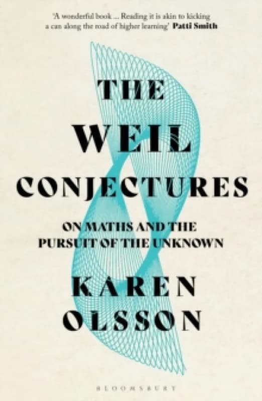The Weil Conjectures : On Maths and the Pursuit of the Unknown Paperback / softback