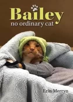 Bailey, no ordinary cat - Erin Merryn - Hardback - Used