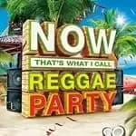 NOW That's What I Call Reggae Party Box set (Music CD)