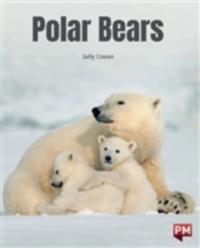 POLAR BEARS Paperback