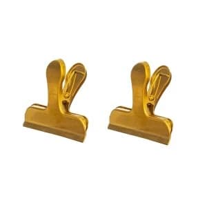 Sass & Belle Brass Clip - Set of 2