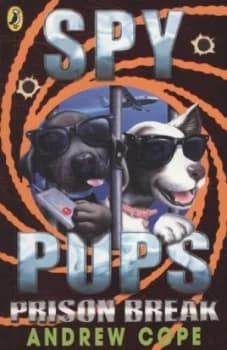 Prison Break by Andrew Cope Paperback