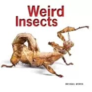 weird insects
