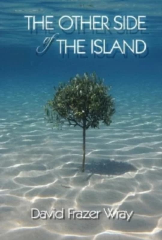 The Other Side Of The Island Paperback / softback