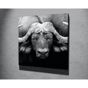 KC035 Multicolor Decorative Canvas Painting