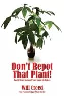 dont repot that plant and other indoor plant care mistakes
