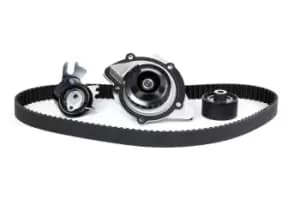 SKF Water Pump + Timing Belt Kit FORD,FIAT,PEUGEOT VKMC 03205 9400830749,9467642480,051660 0516A4,0816G3,0816K5,0816K8,0829F7,0829G1,0829G6,083051
