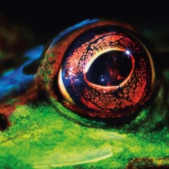 T Q D - Day & Night Vinyl