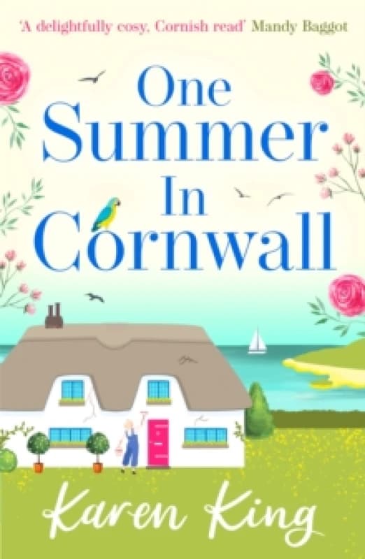 One Summer in Cornwall : the perfect feel-good summer romance Paperback / softback