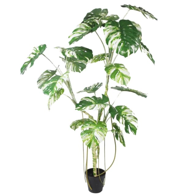 N/A 210cm Variegated Monstera Realistic Artificial Tree