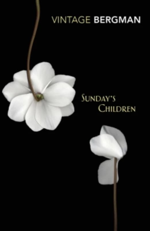 Sunday's Children Paperback / softback