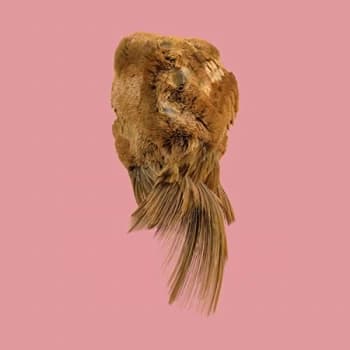 Holy Family - Values CD