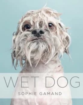 Wet Dog by Sophie Gamand Hardback