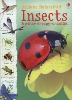 Insects and Other Creepy-Crawlies by Rachel Firth and Louie Stowell and Dan Pearson and Non Figg and Ian Jackson and Jane Chisholm and Susanna Davidso