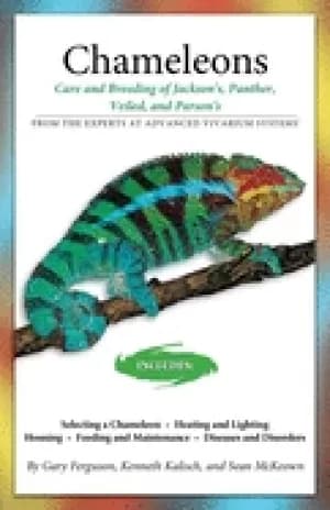 chameleons care and breeding of jacksons panther veiled and parsons