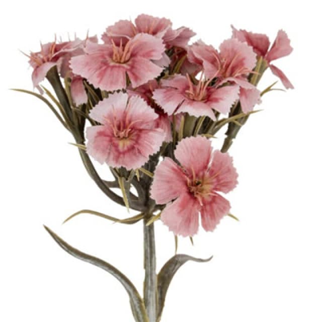 Hill Interiors Dianthus Artificial Flower Spray Pink (One Size)