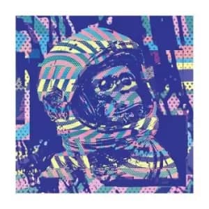 Spacebound Tapes by Neil Cowley Trio Vinyl Album