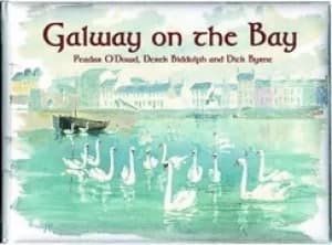 galway on the bay