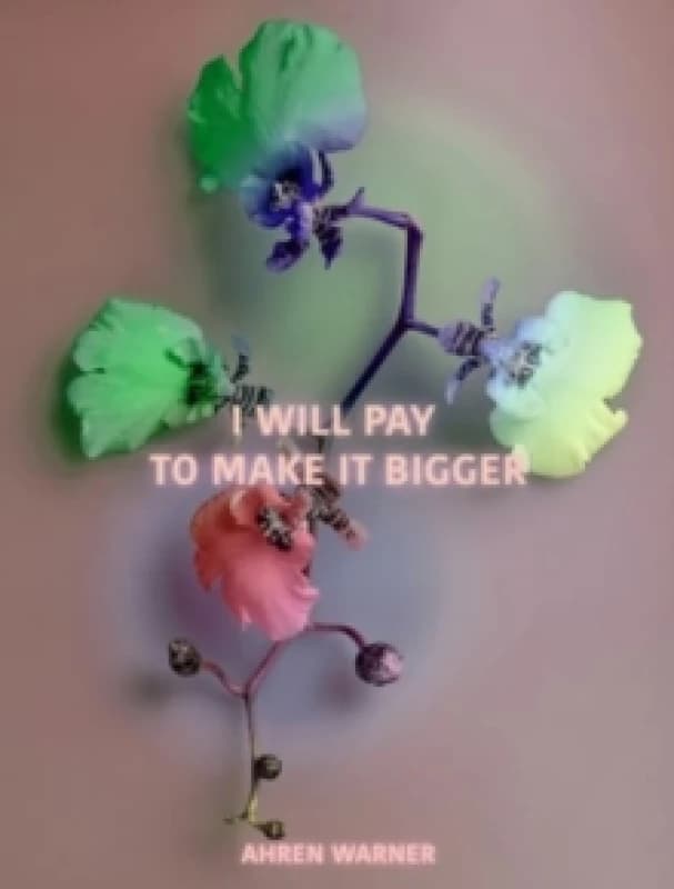 i will pay to make it bigger Paperback / softback
