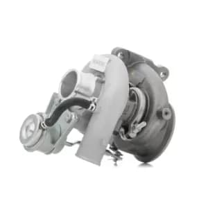 RIDEX Turbocharger Incl. Gasket Set 2234C0219 Turbolader,Charger, charging system FIAT,PEUGEOT,CITROEN,Ducato Kastenwagen (250_, 290_)