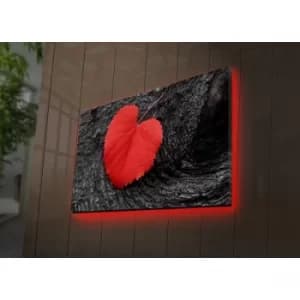 4570DACT-52 Multicolor Decorative LED Lighted Canvas Painting