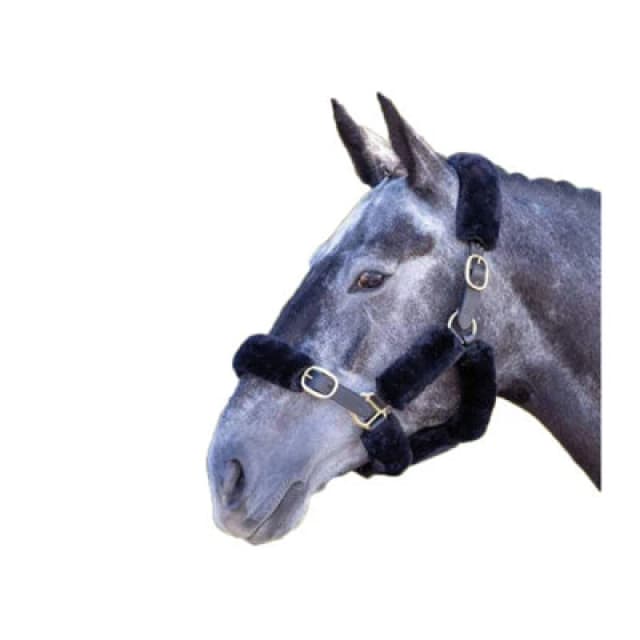 Shires Performance Horses Supafleece Halter Fleeces (Pack Of 9) Black (One Size)