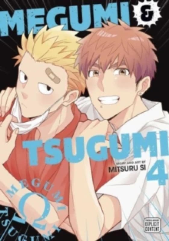 Megumi & Tsugumi, Vol. 4 Paperback / softback