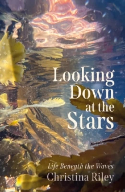 Looking Down at the Stars : Life beneath the waves Hardback