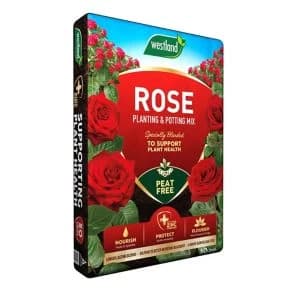 Westland Peat-Free Rose, Shrub & Tree Compost 50L