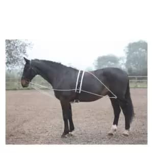 Shires Lunging Aid - Black