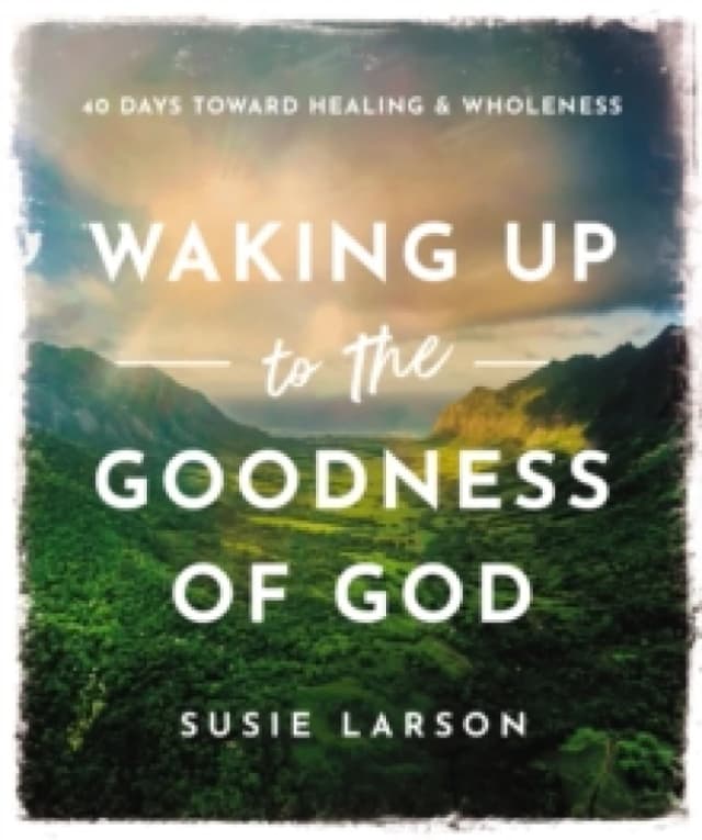 Waking Up to the Goodness of God. Hardback. By Susie Larson Books