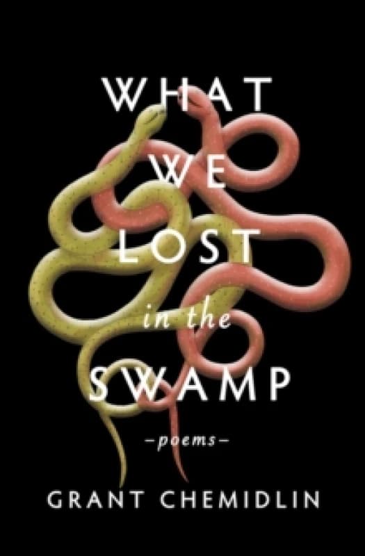 What We Lost in the Swamp : Poems Paperback / softback