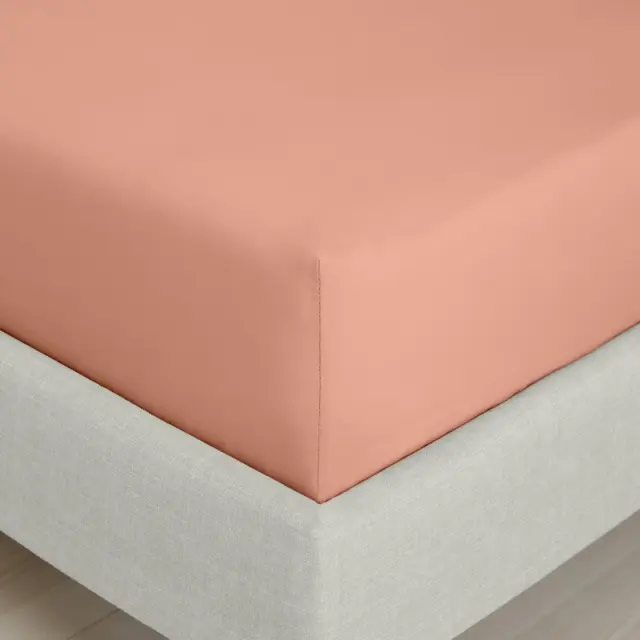 Bianca '200 Thread Count Cotton Percale' 32cm Depth Sheet Terracotta
