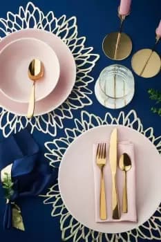 Viners Everyday Purity Gold 18/0 16 Piece Cutlery Set