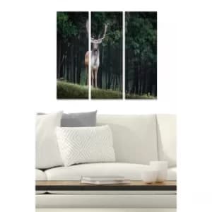 MDF984573 Multicolor Decorative MDF Painting (3 Pieces)