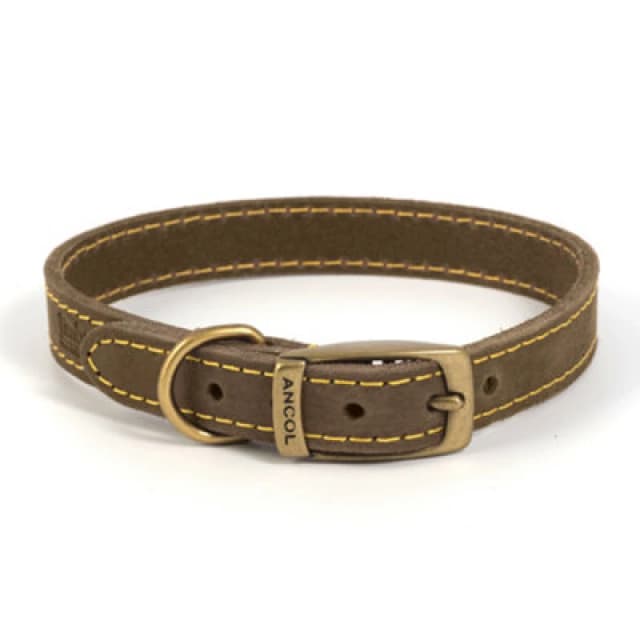 Timberwolf Leather Collar Sable 25mm X50-59cm