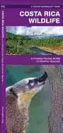 costa rica wildlife a folding pocket guide to familiar animals