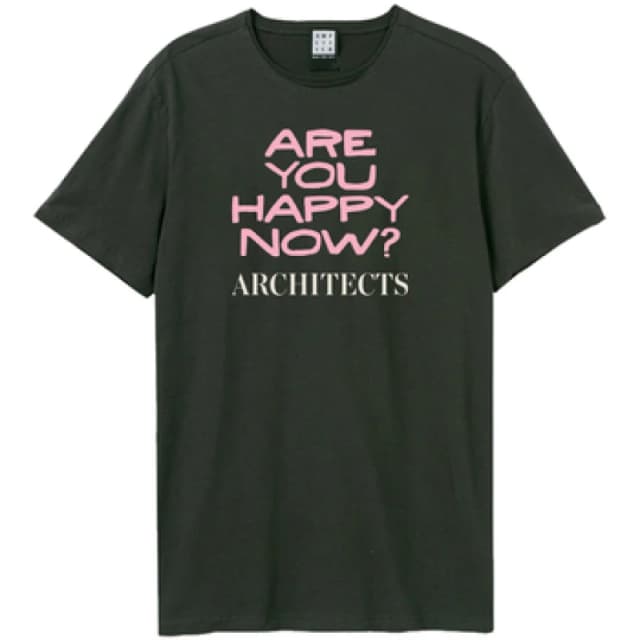Amplified Amplified Men Are You Happy Now Architects T-Shirt in Charcoal Size: X-Small Charcoal XS Male 5063652561256
