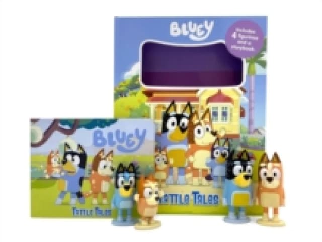 Bluey Novelty book