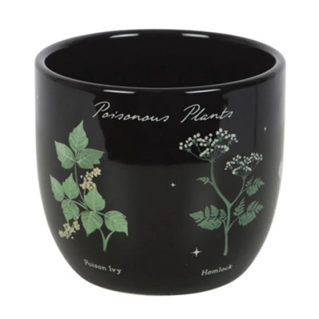 Something Different Something Different Poisonous Plants Plant Pot in Black One Size Unisex 5063750807317