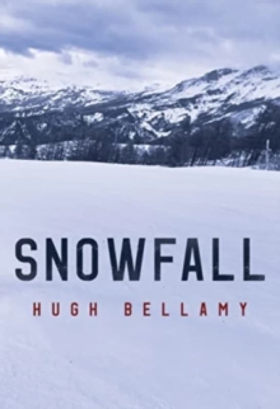 Snowfall Paperback / softback