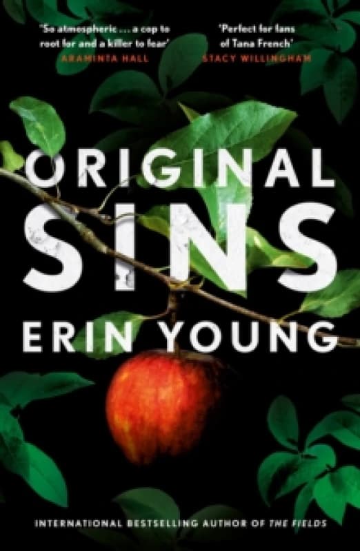 Original Sins : Riley Fisher Book 2 Paperback / softback