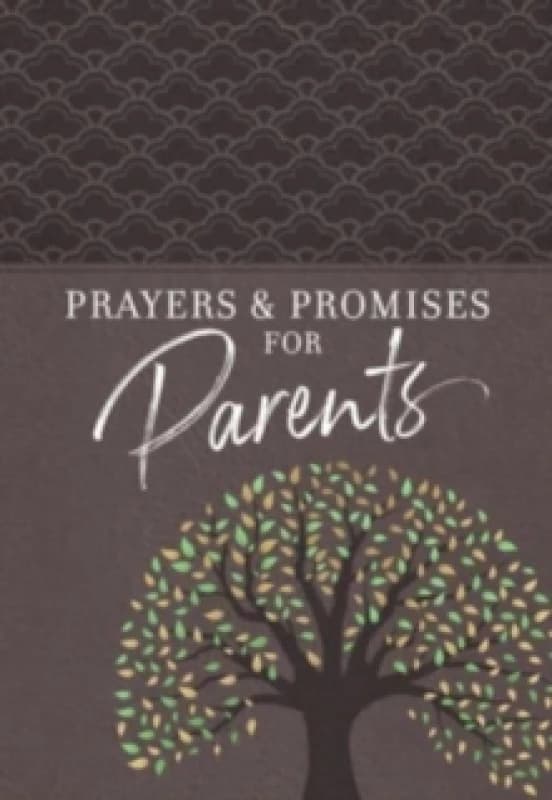 Prayers & Promises for Parents Paperback / softback